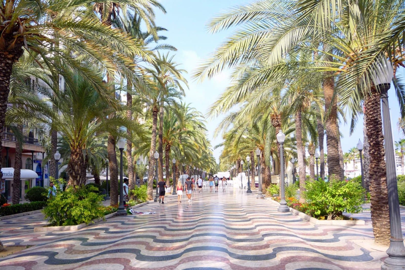 De Explanada de España in Alicante met palmen en het golvende mozaïek