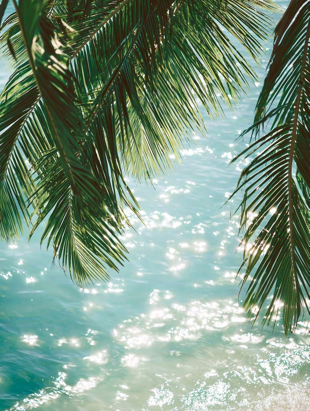Palmbladeren boven het water van een zwembad in de zon